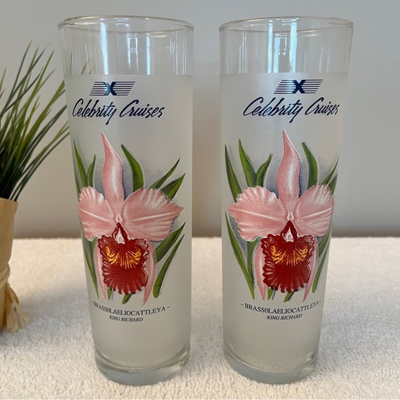 2 Carnival Cruise Line Cocktail Beverage Glasses - Picture 2 of 4